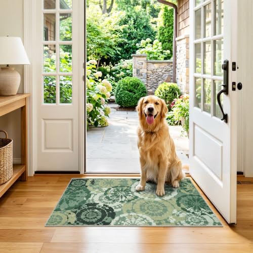 Washable 2x3 Entry Rug, Boho Modern Throw Rugs by Quntue