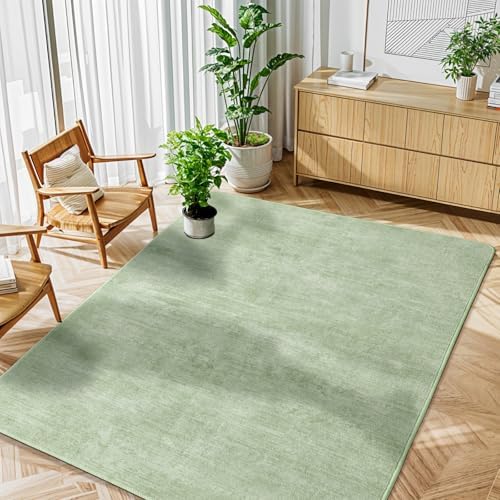 3x5 Washable Area Rug by LIANLAM