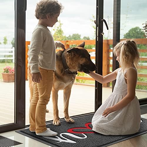 Door Mat Welcome Mat Floor Mat for Entryway, High Traffic Areas - Image 2