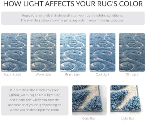 SAFAVIEH Florida Shag Collection Area Rug - Image 3