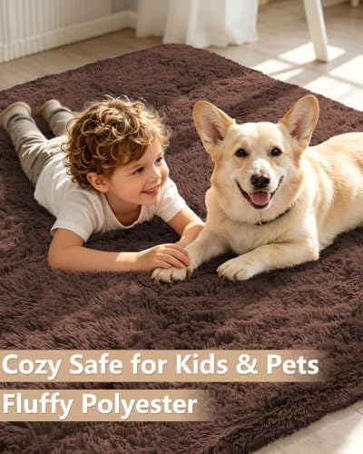 Smiry Area Rugs for Living Room Bedroom 4x5.9 ft, Fluffy Washable Carpet - Image 3