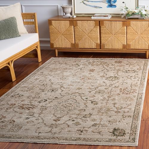 SAFAVIEH Hazel Area Rug 6x8, Ivory & Beige HZL512A by Unknown