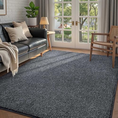 4x6 Grey Area Rug Non-Slip Washable Soft Thin by FinRe%CC%80cHome