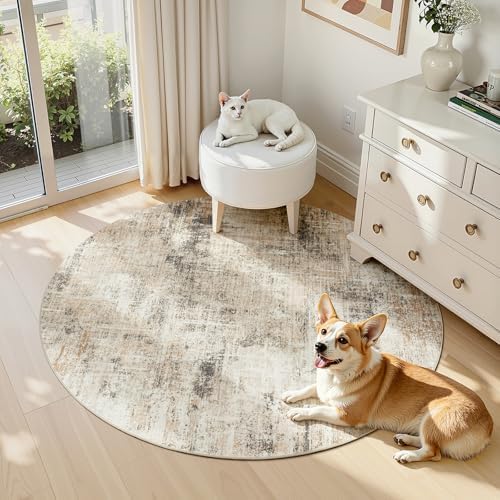 4ft Area Rug for Living Room, Abstract Washable Non-Slip Large Rugs - Image 5
