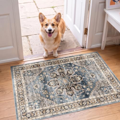2x3 Washable Entryway Area Rug by Puino