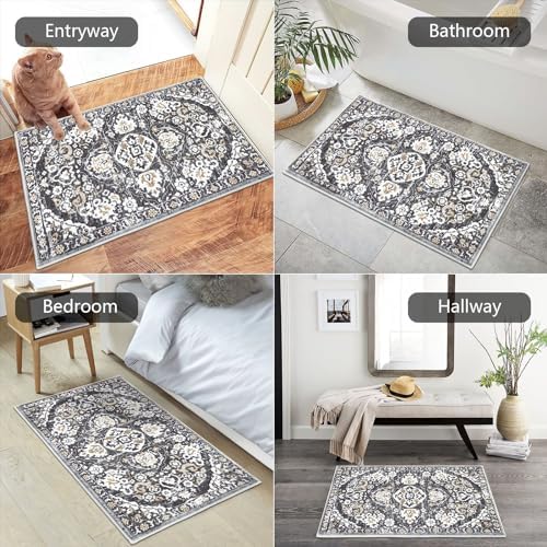 HEBE Indoor Door Mat 2'x3', Washable Welcome Mat - Image 4