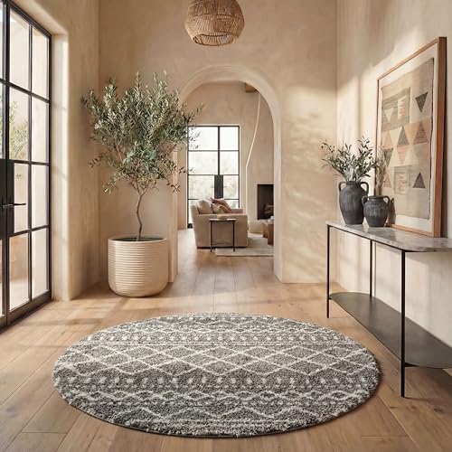 SAFAVIEH Arizona Shag Round Rug 8', Soft Plush Boho Brown & Ivory ASG741B by Unknown