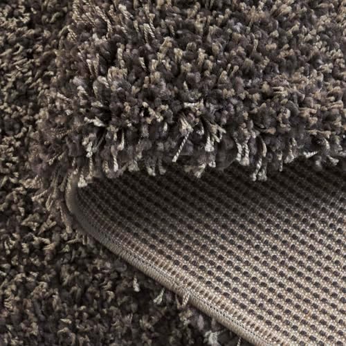 SAFAVIEH Area Rug 11x15 - Image 6