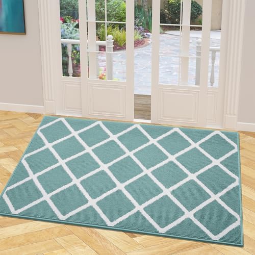 Finchitty Indoor Door Mat, Dirt Resistant Doormat, Sage Green by Finchitty