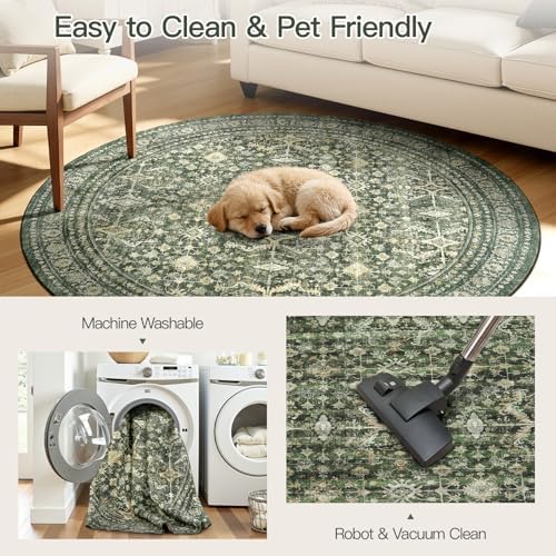 6ft Area Rugs for Living Room Bedroom - Image 6