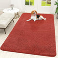 OLANLY Dog Door Mat for Muddy Paws 70x46, Super Absorbent Chenille Mud Mat by OLANLY