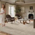 Valenrug Washable Rugs 5x7, High-Low Pile Area Rugs by Valenrug