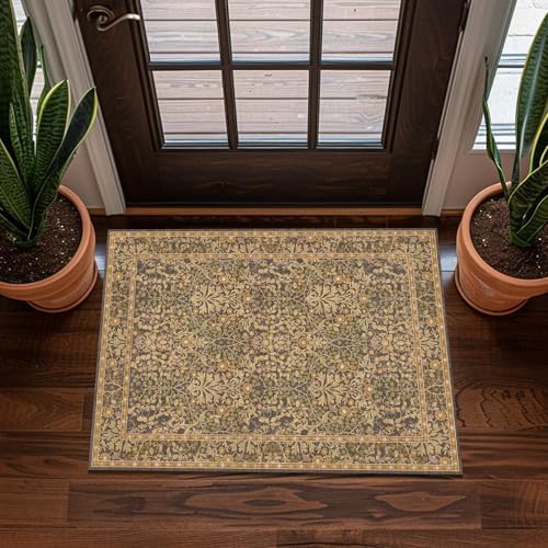 2x3 Area Rug Washable Entry Rug Soft Carpet by Unknown