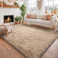 Amdrebio Beige Boho Fluffy Area Rug 5x8 by Amdrebio