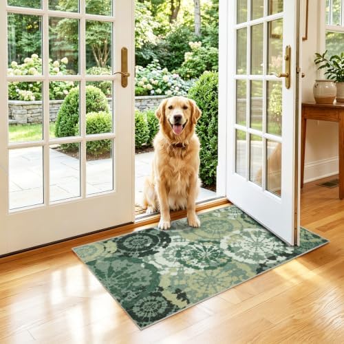 Washable 2x3 Entry Rug, Boho Modern Throw Rugs - Image 3