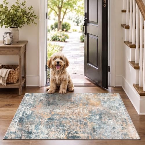 Small Washable Area Rug 2x3, Soft Non Slip Entryway Rug by ROOMISLAND
