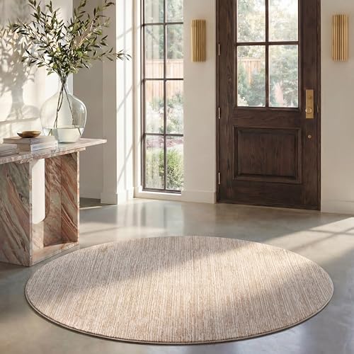 SAFAVIEH Vision Round Rug 10', Modern Tonal Cream VSN606F by Unknown