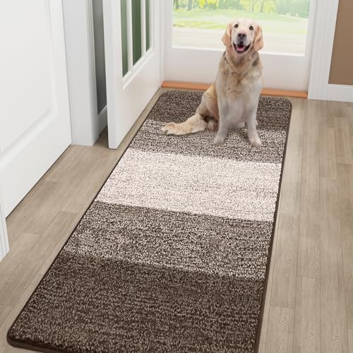 Smiry Dog Door Mat for Muddy Paws, Absorbs Moisture and Dirt, 48x32 Inches by Smiry