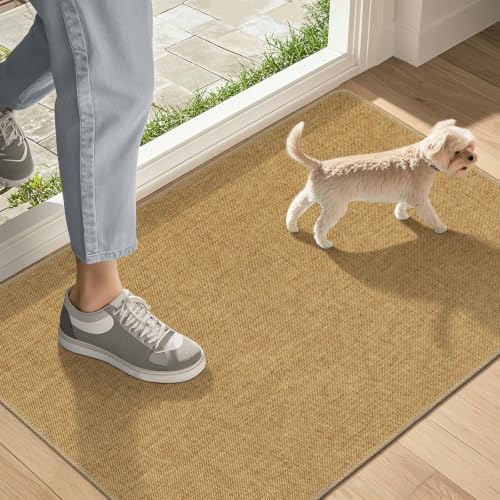 LEKEEPGO Ultra Thin Indoor Door Mat 17"x29", Non Slip Low-Profile Doormats by LEKEEPGO