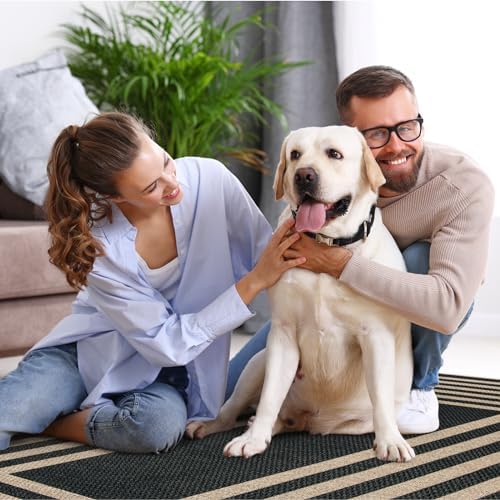 Lahome Modern 3x5 Outdoor Rug - Image 6