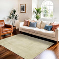 Joydeco 3x5 Area Rugs for Living Room Classic by JOYDECO