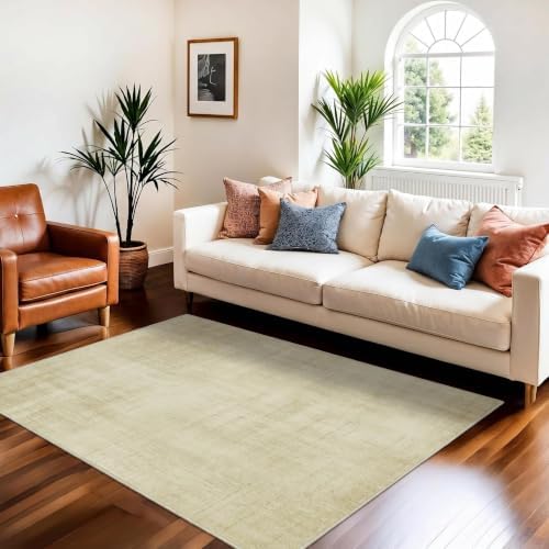 Joydeco 3x5 Area Rugs for Living Room Classic by JOYDECO