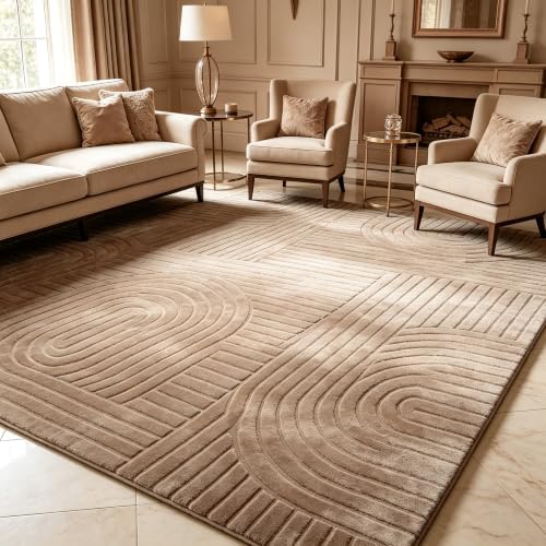 Brown Solid Area Rug 5x7, Washable Living Room Rug, Ultra Soft Indoor Rugs by MATIIUICarpet