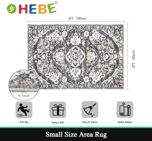HEBE Indoor Door Mat 2'x3', Washable Welcome Mat - Image 2