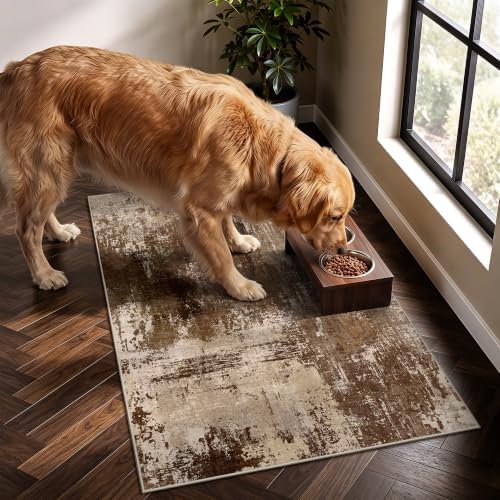 2x3 Rugs for Entryway - Image 3