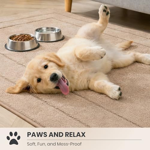 PURRUGS Dirt Trapping Door Mat Indoor Entrance - Image 3