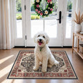 HAOYUNLAI Washable Non-Slip 2x3 Entryway Area Rug Low-Profile Soft Carpet by HYHAOYUNLAI