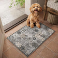 Washable Small Area Rugs for Entryway: 2x3 Door Mat Indoor Entrance by NoiFamo