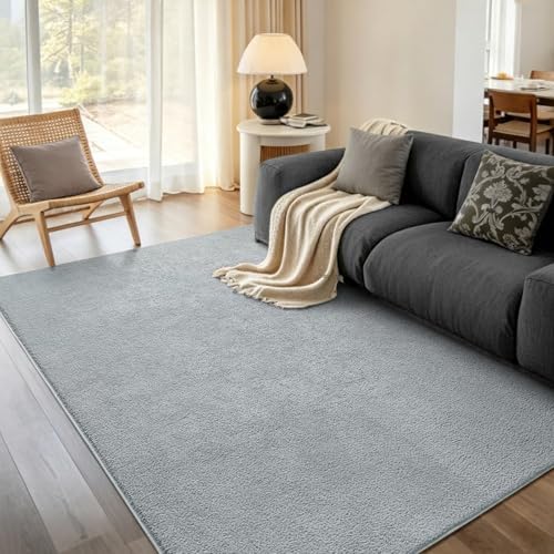 4x6 Light Grey Solid Area Rug Washable Non-Slip by Unknown