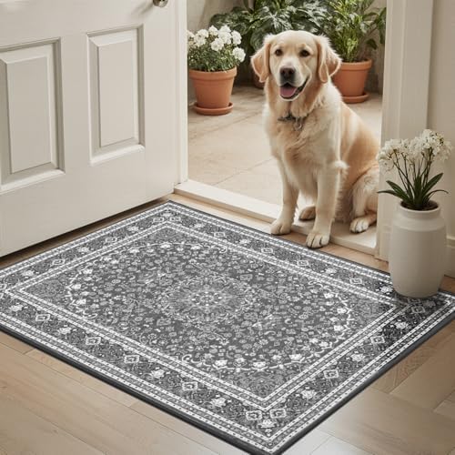 Lessymo 2 x 3 Entryway Rug, Machine Washable Boho Indoor Mat - Image 2