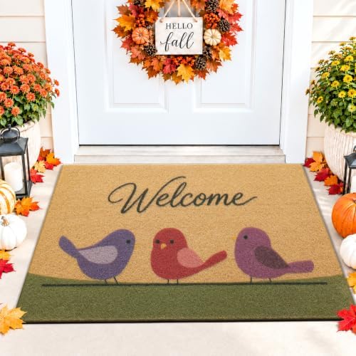 OLANLY Front Door Mat 35x23, Low Profile Doormat by OLANLY