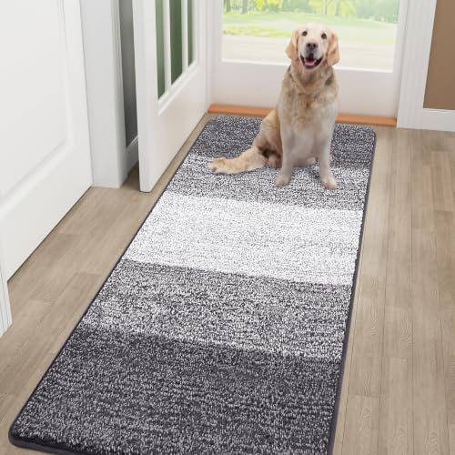 Smiry Dog Door Mat for Muddy Paws, Absorbs Moisture and Dirt, 59x32 Inches by Smiry