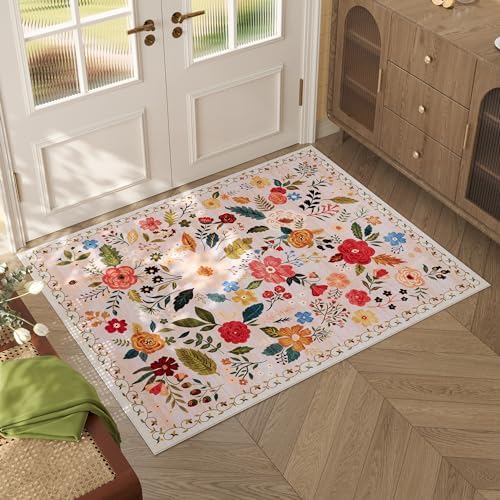 Rugcomf Door Mat 2x3 Area Rug Washable by Rugcomf