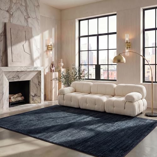SAFAVIEH Vision Area Rug 6x8 by Unknown