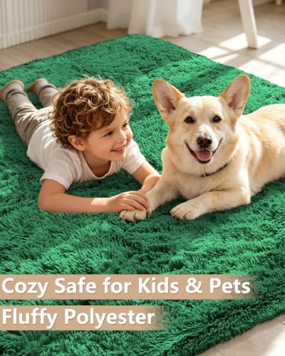 Smiry Area Rugs for Living Room Bedroom 2x3 ft, Fluffy Washable Carpet - Image 3