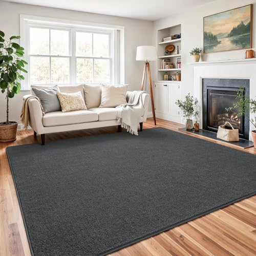 Chicrug 4x6 Minimalist Washable Soft Area Rugs - Image 2