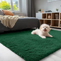 OLANLY 3x5 Machine Washable Small Bedside Rug, Soft Fluffy Shaggy Rugs by OLANLY