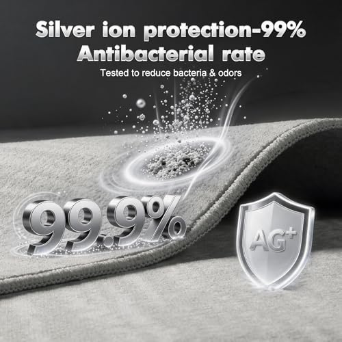 LIANLAM 2x3 Silver Infused Self-Cleaning Rug - Image 3