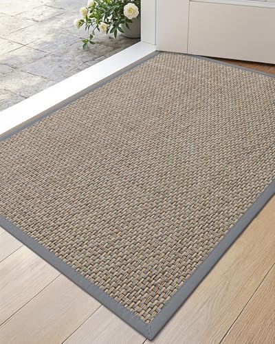 DEXI Ultra Thin Indoor Door Mat 24x36, Entrance Doormats by DEXI