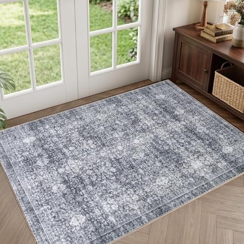 Sasttie 2x3 Area Rugs, Ultra-Soft Washable Rug by SASTTIE