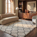 SAFAVIEH Hudson Shag Collection 6' x 9' Ivory/Grey SGH280A Moroccan Ogee by Unknown
