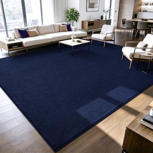 ISEAU 6x9 Rug for Living Room, Soft Memory Foam Carpet by ISEAU