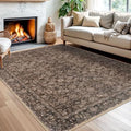 SIILOOM 5x7 Washable Area Rug, Non Slip Indoor Mat by SiiloomRug