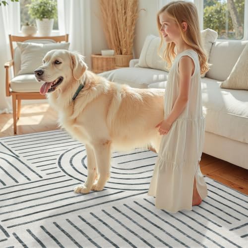 DCX Abstract Washable 6x9 Rug, Non Slip Low Pile Rug - Image 3
