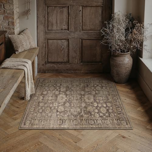 HUGEAR Brown Area Rugs 2x3 Entryway Washable Rug Carpet by HUGEAR