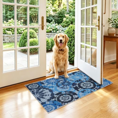 Washable 2x3 Entry Rug, Boho Small Throw Rugs - Image 2
